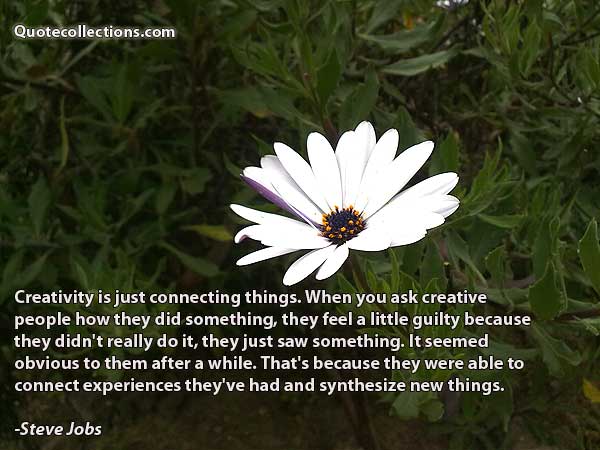 Steve Jobs Quotes1
